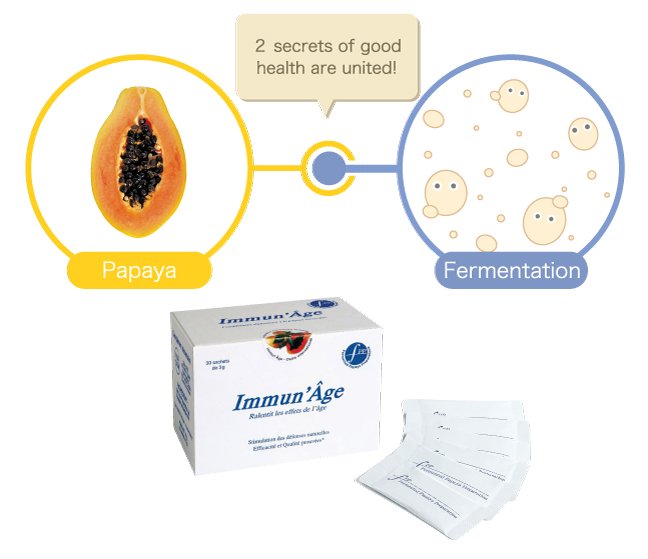 2025.04.15_EN_Papaya_and_fermentation.jpg