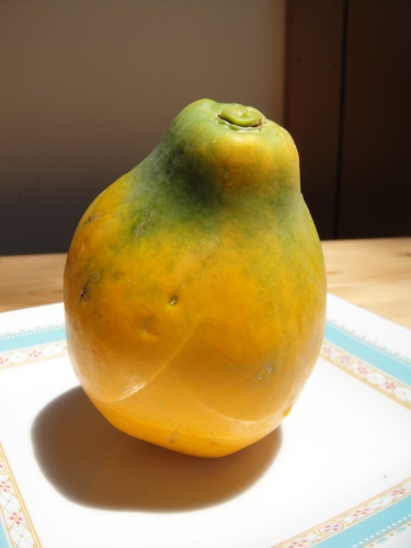 papaya_150522_3.jpg